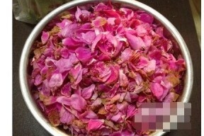 娱乐吃瓜酱玫瑰花